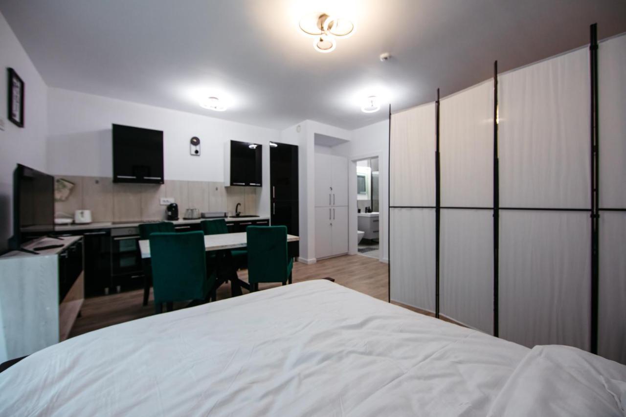 L&V Family Studio Apartamento Sinaia Exterior foto