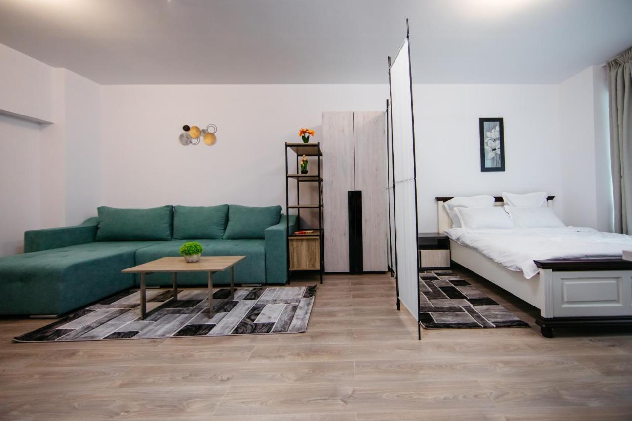 L&V Family Studio Apartamento Sinaia Exterior foto