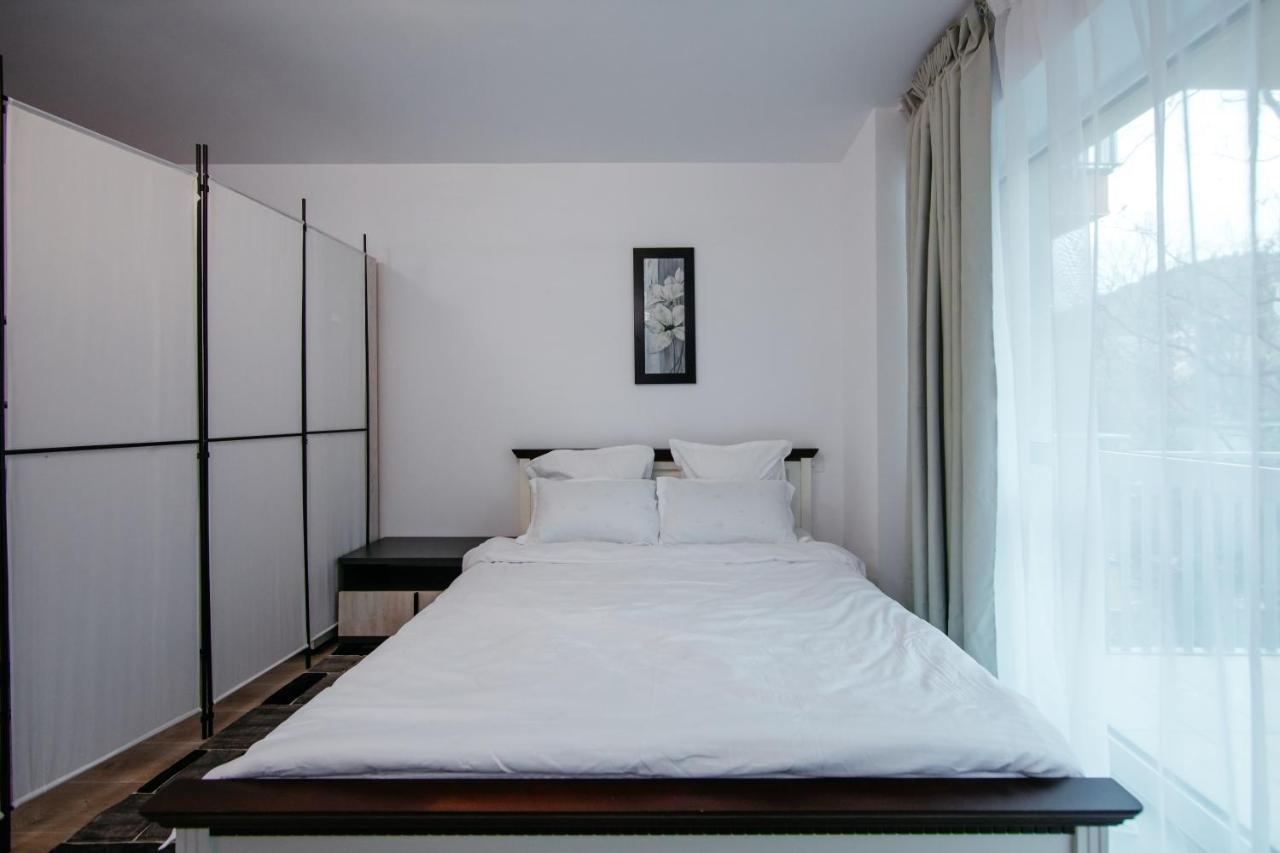 L&V Family Studio Apartamento Sinaia Exterior foto