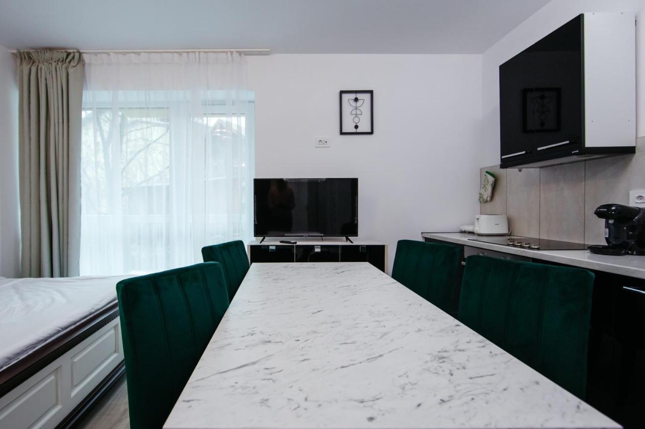 L&V Family Studio Apartamento Sinaia Exterior foto