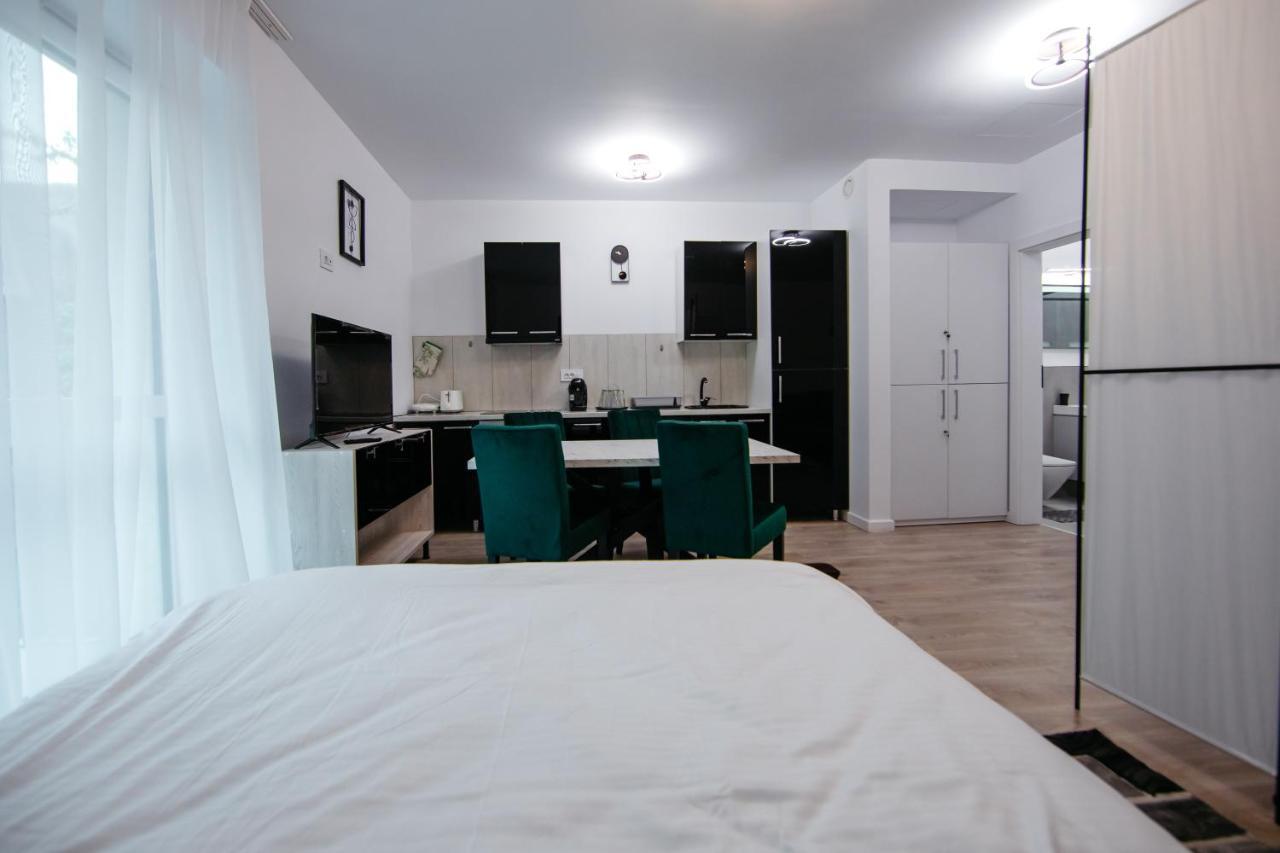 L&V Family Studio Apartamento Sinaia Exterior foto